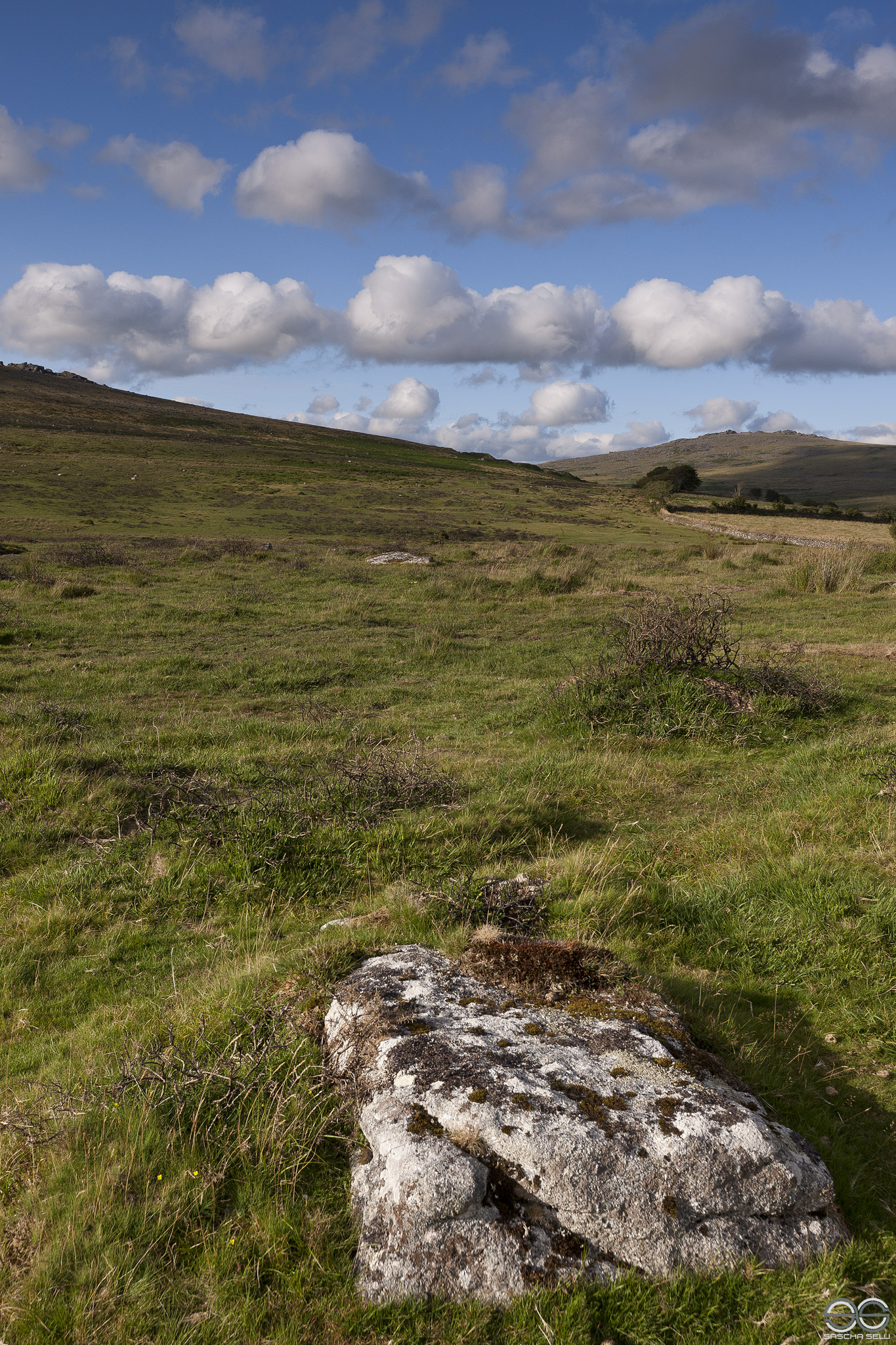 Cox Tor
