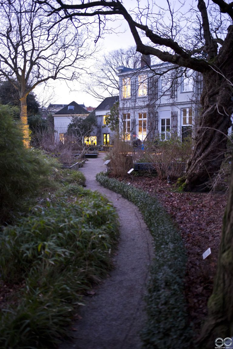 Hortus Botanicus, Amsterdam