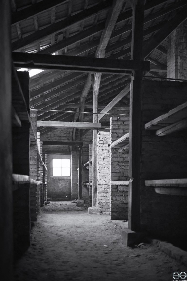 Häftlingskrankenbau, Auschwitz II