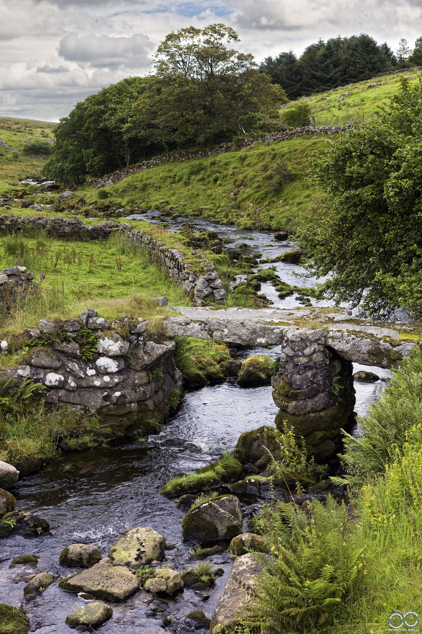 The Oakery Bridge