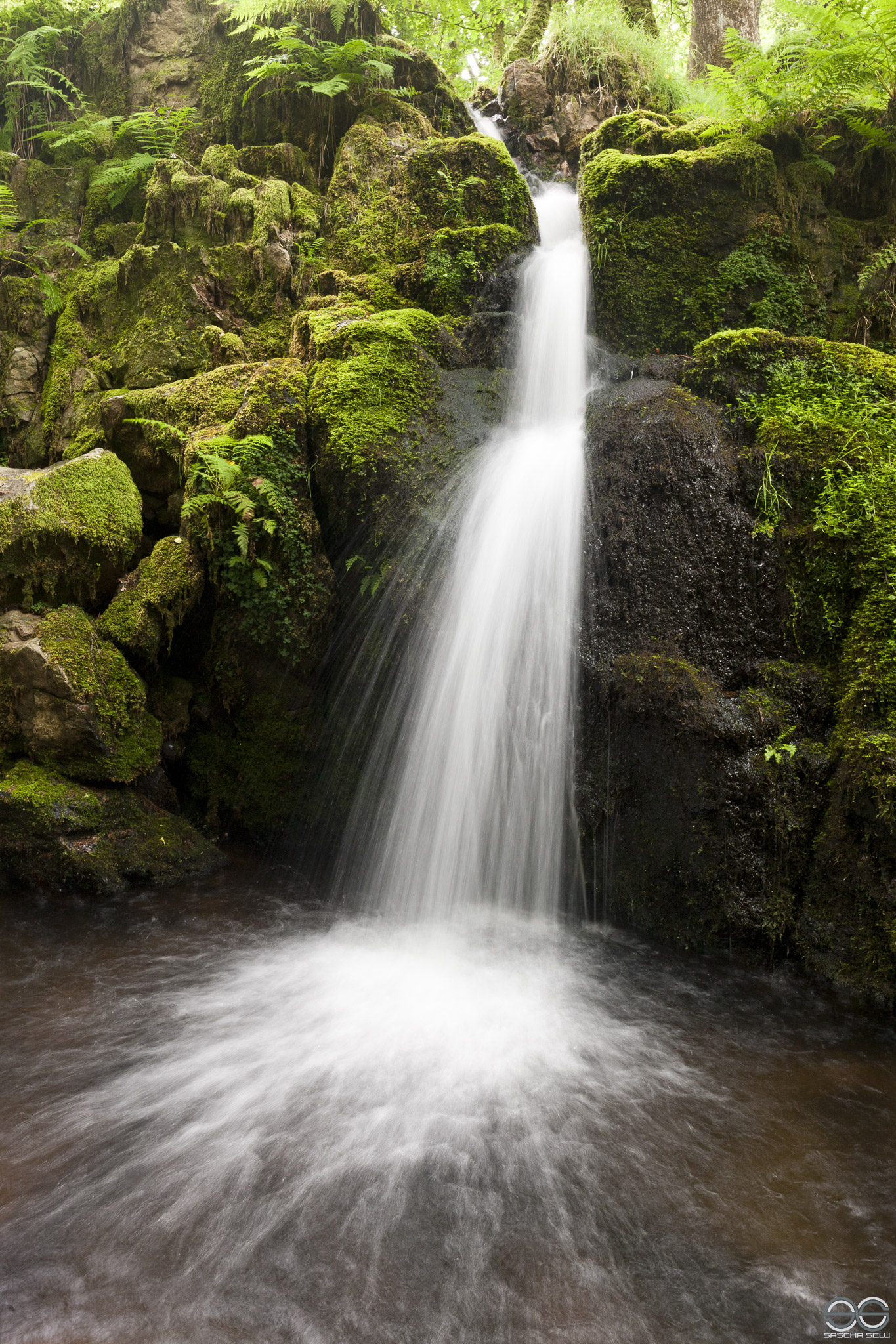 Venford Fall